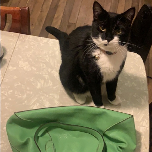 Plastic, Liz Claiborne light green bag. - Picture 4 of 4